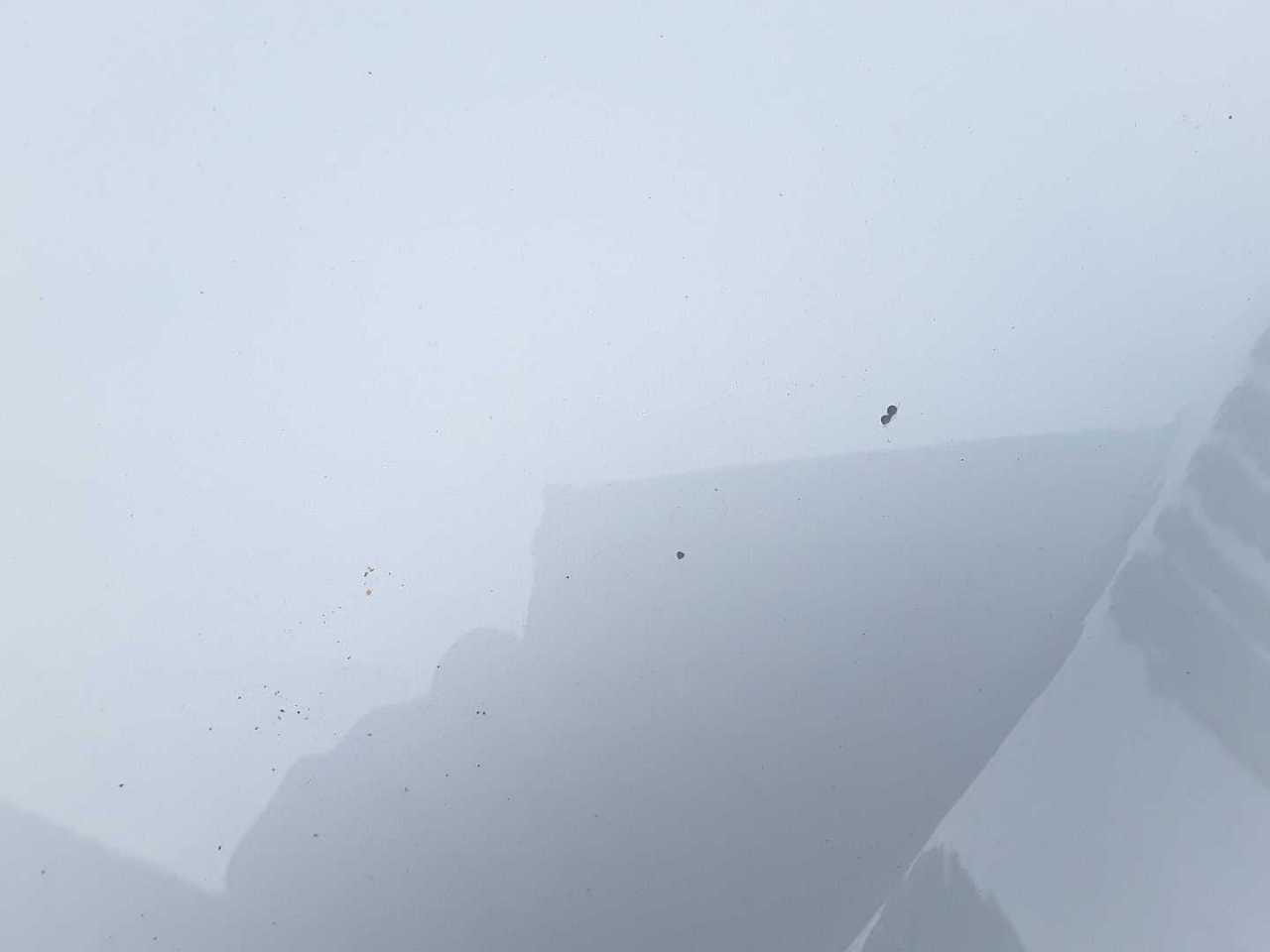 Schadenfoto_Motorhaube_3